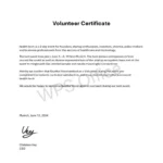 digital marketing freelancer (2)